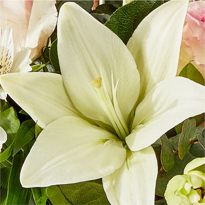 Ballet Slippers Bouquet – ANGEL'S FLOWERS AND GIFTS, San Jose CA