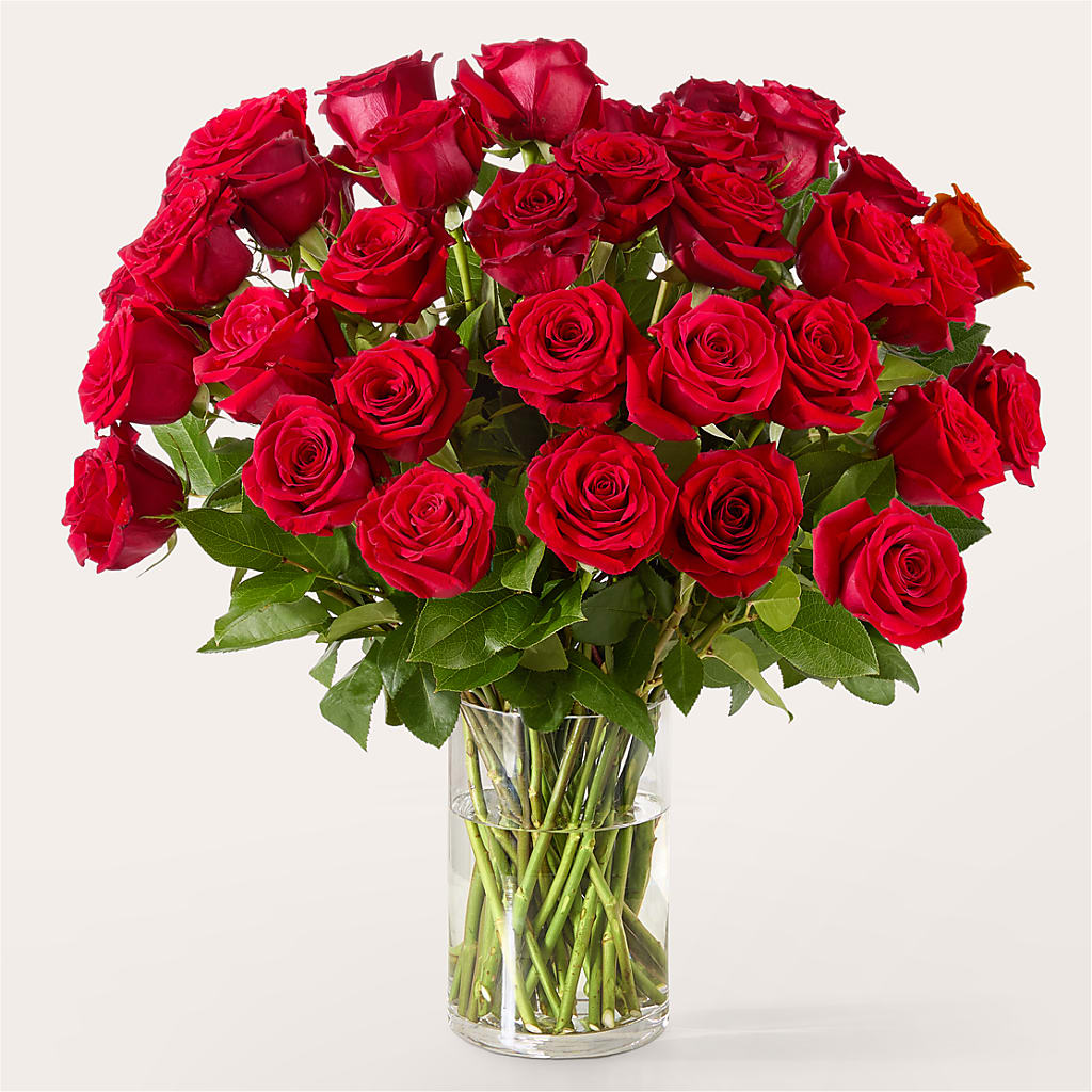The One Red Rose Bouquet – ANGEL'S FLOWERS AND GIFTS, San Jose CA