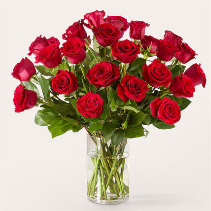 The One Red Rose Bouquet – ANGEL'S FLOWERS AND GIFTS, San Jose CA