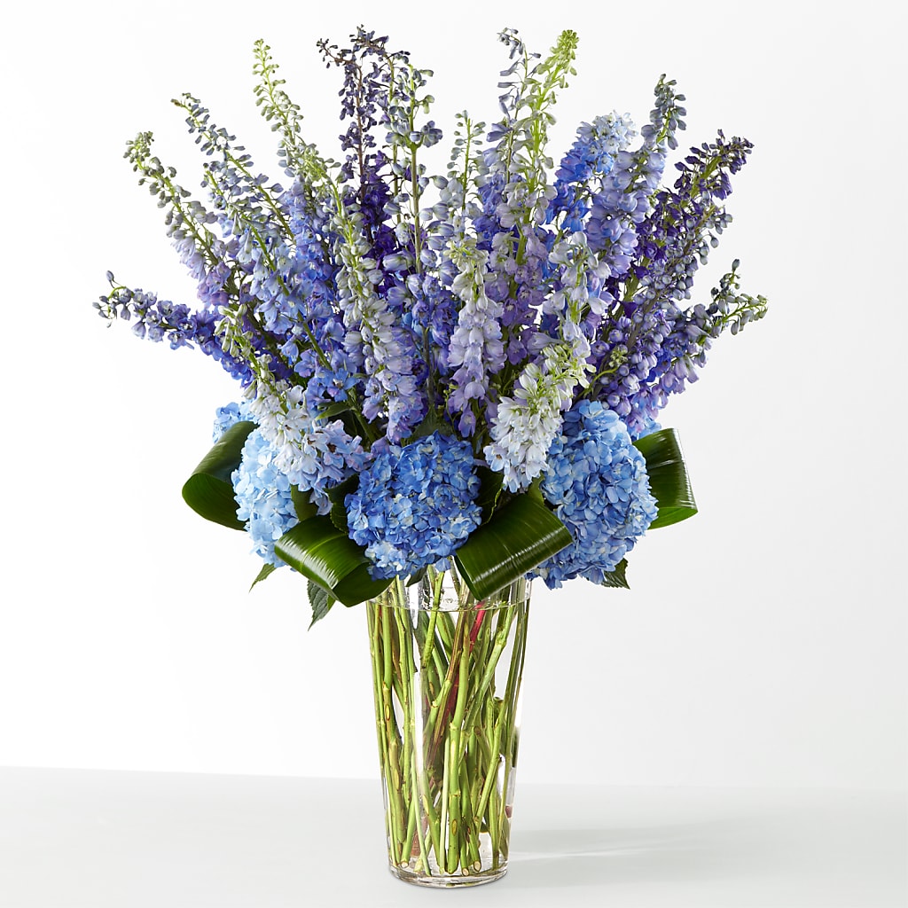 The Editorial – ANGEL'S FLOWERS AND GIFTS, San Jose CA