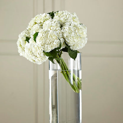White Hydrangea Hand-Tied Bouquet – ANGEL'S FLOWERS AND GIFTS, San Jose CA