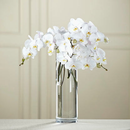 White Phalaenopsis Bouquet – ANGEL'S FLOWERS AND GIFTS, San Jose CA