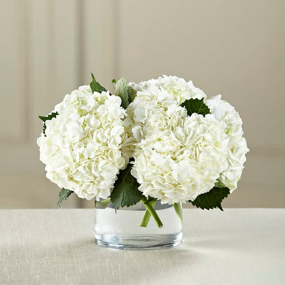 White Hydrangea Bouquet – ANGEL'S FLOWERS AND GIFTS, San Jose CA